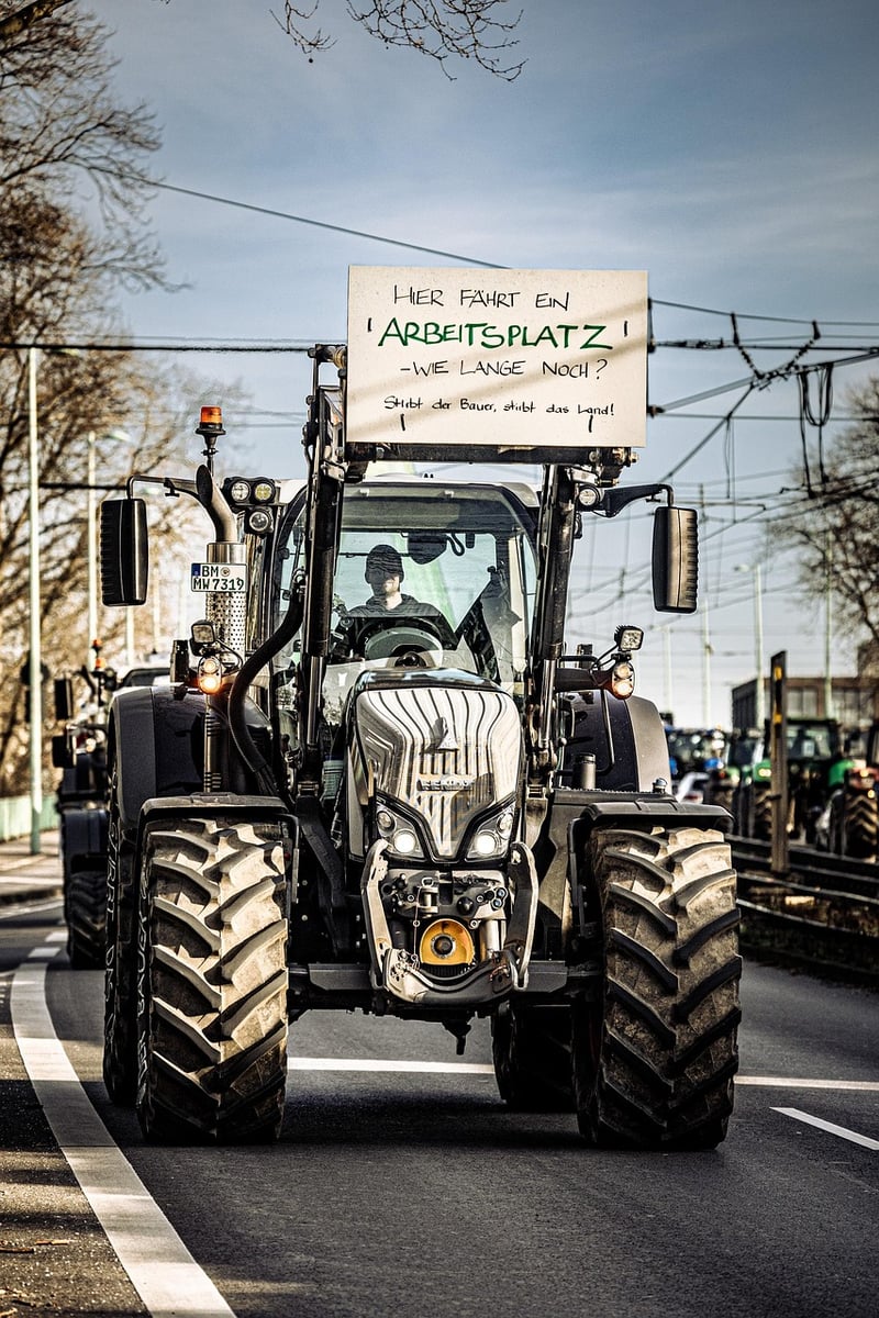 Social Justice Advocacy
